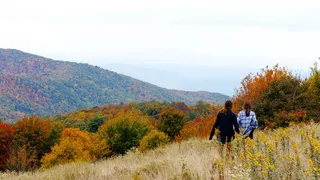 美国，最大补丁，树，秋天，跟随，朋友，山，秋天