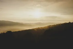 雾蒙蒙的，朦胧的，小山，山坡，风景，自然，太阳，森林