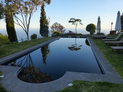 水池、心情、镜像、farbenspiel、水、abendstimmung、植物、树