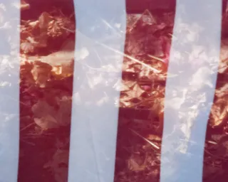 国旗，树叶，秋天，美国，无人，全框架，室内，特写