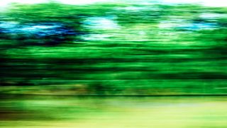 植物，植被，户外，树木，自然，土地，模糊，窗户