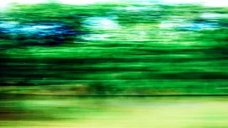 植物，植被，户外，树木，自然，土地，模糊，窗户