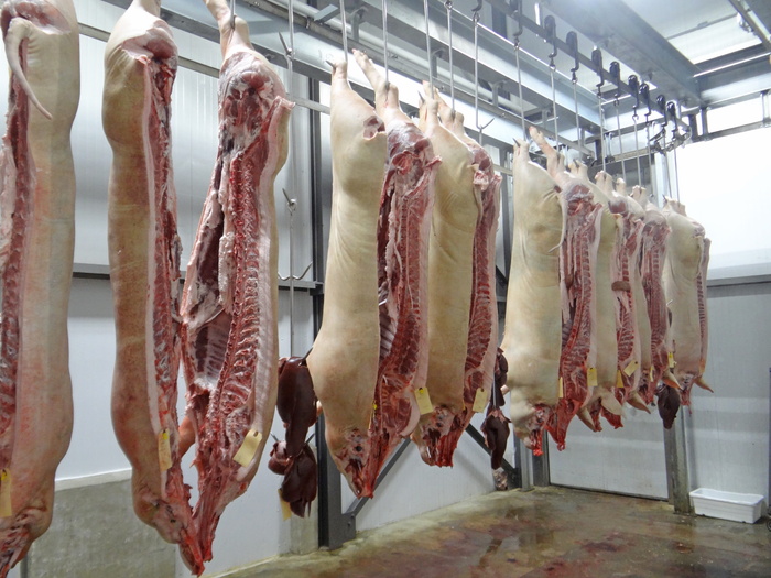 无标题，猪，猪肉，屠宰场，屠夫，肉，猪，食品