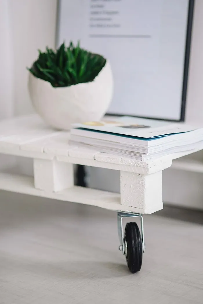 带杂志的绿色植物