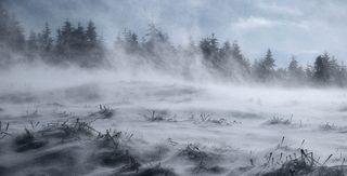 冬天，雪，霜，风，扎迪姆卡，天气，暴风雪，暴风雪