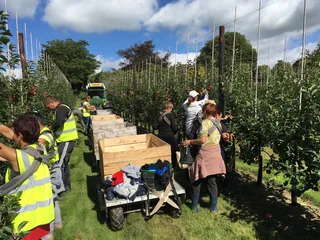 人，人，*，机器，户外，植物，草，消防员