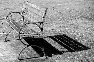 公园、长椅、座椅、木材、草地、户外、黑白、阴影