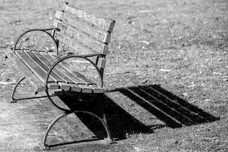 公园、长椅、座椅、木材、草地、户外、黑白、阴影