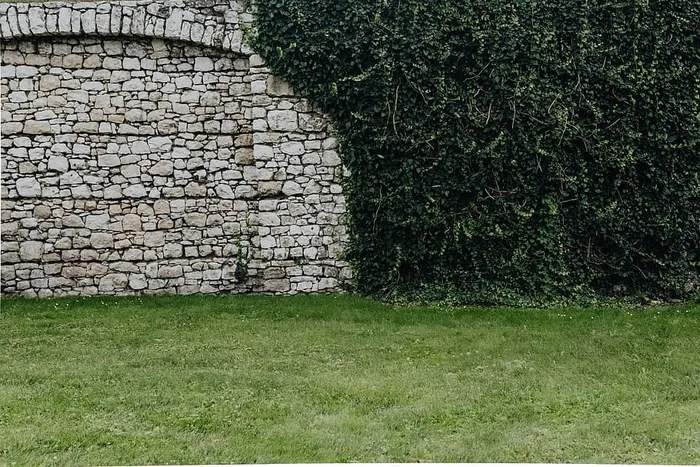 波兰首府克拉科夫的魅力