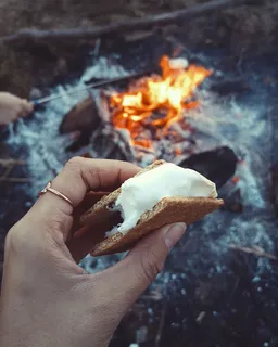 篝火、燃烧、篝火、美味、甜点、火、火焰、食物 篝火、燃烧、篝火、美味、甜点、火、火焰、食物