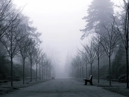 雾,天气,心情,神秘,风景,雾,秋天,寒冷 雾,天气,心情,神秘,风景,雾,秋天,寒冷