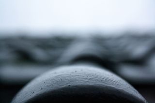 德国、杜塞尔多夫、阿姆·金斯特伯格、屋顶、特写、无人、选择性聚焦、户外