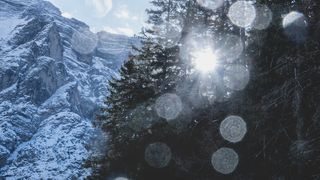 bokeh，明亮，寒冷，森林，zing，结冰，结冰