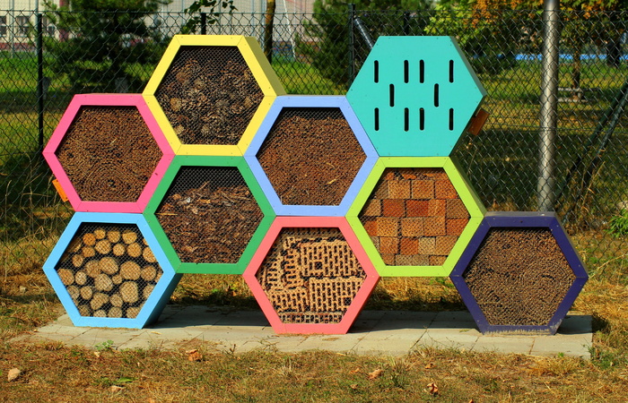 酒店昆虫, 孔, 昆虫, 冬眠, 蜜蜂, 穿孔, 青春, 图