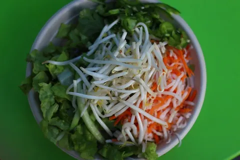 美国,旧金山,绿色,健康,素食者,生活方式,素食者,健康 美国,旧金山,绿色,健康,素食者,生活方式,素食者,健康