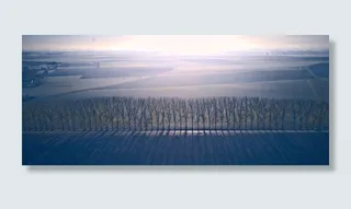 符号，蓝色，雾，云，路，线，阴影，forst