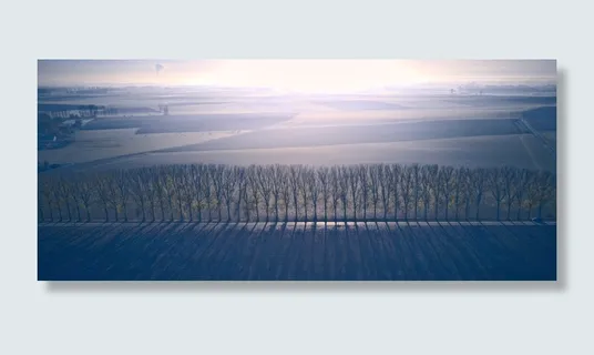 符号,蓝色,雾,云,路,线,阴影,forst 符号,蓝色,雾,云,路,线,阴影,forst