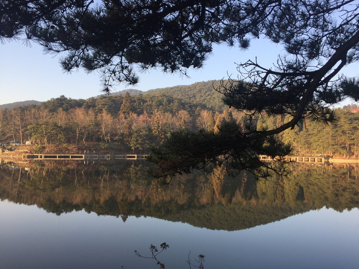 这也是我拍摄的庐山，水还是很透彻的，我喜欢这里的一切，树、水、倒影、植物、湖泊