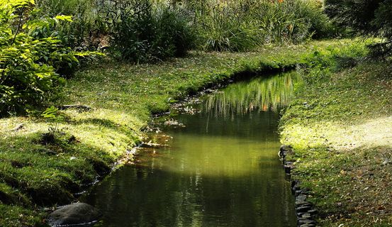 巴赫，自然，风景，水，森林，风景，河流，绿色