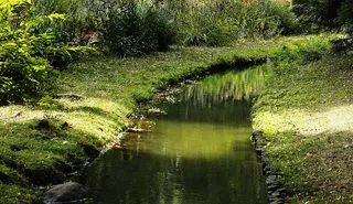 巴赫，自然，风景，水，森林，风景，河流，绿色