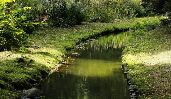 巴赫,自然,风景,水,森林,风景,河流,绿色 巴赫,自然,风景,水,森林,风景,河流,绿色