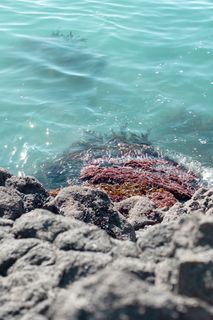 新西兰，基督城，泰勒湾，海洋，自然，海洋，蓝色，水