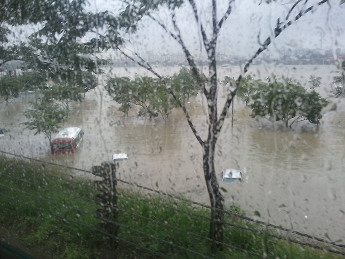 洪水，邯钢公园，非，自然，植物，树木，水，雨