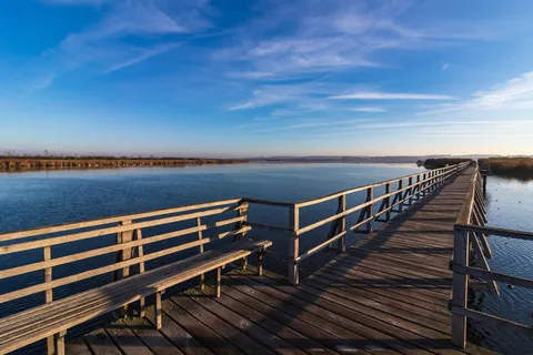 春湖、景观、网络、自然、心情、自然保护区、自然保护区、湿地 春湖、景观、网络、自然、心情、自然保护区、自然保护区、湿地