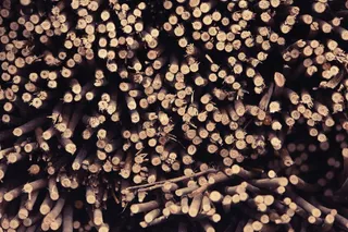 木材，原木，木材，木柴，原木，大量物品，背景，丰富