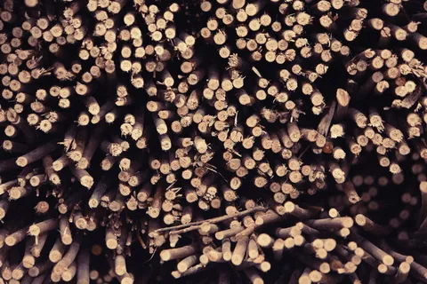 木材,原木,木材,木柴,原木,大量物品,背景,丰富 木材,原木,木材,木柴,原木,大量物品,背景,丰富