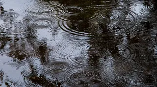 水, 涟漪, 圆圈, 滴, 湿, 表面, 波浪, 干涉图案