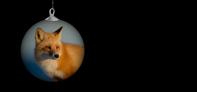 红狐印花饰品，圣诞饰品，福斯，圣诞饰品，圣诞节，降临节，圣诞树饰品，装饰