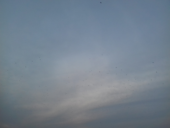 波兰，托伦，天空，低视角，云天，无人，自然之美，宁静