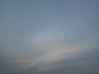 波兰，托伦，天空，低视角，云天，无人，自然之美，宁静