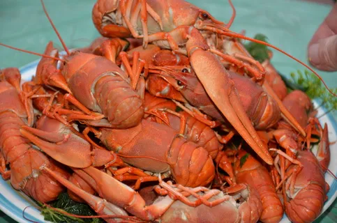 水煮龙虾,食品,烹饪,海鲜,爪子,新鲜度,美食,龙虾 水煮龙虾,食品,烹饪,海鲜,爪子,新鲜度,美食,龙虾
