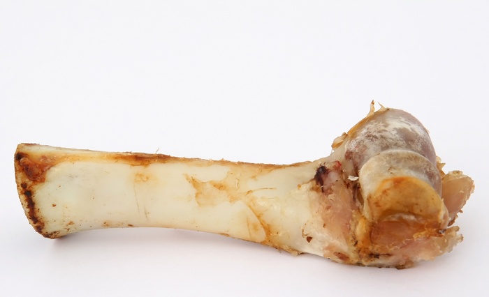 动物骨，白色，表面，t骨软骨，动物，牛肉，骨，犬