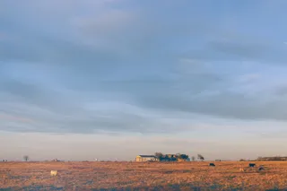 布朗场上的建筑物