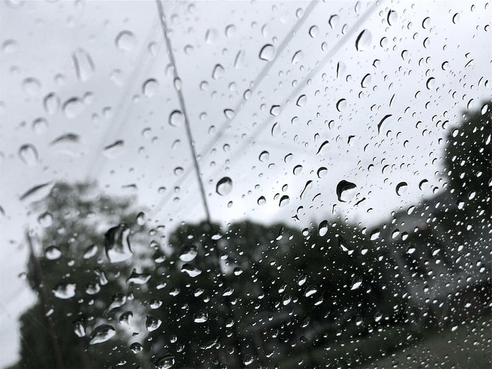 水露珠，透明，玻璃，白天，水，水滴，雨，雨