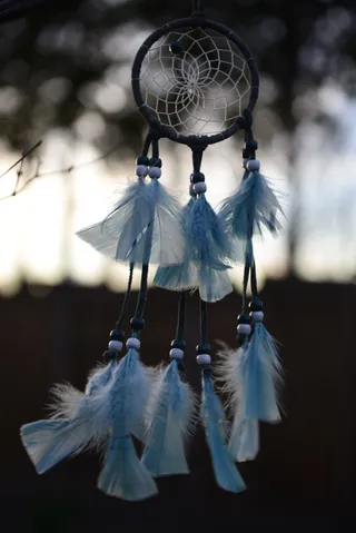 梦想，捕手，本地人，美国人，羽毛，文化，鸟，关注前景