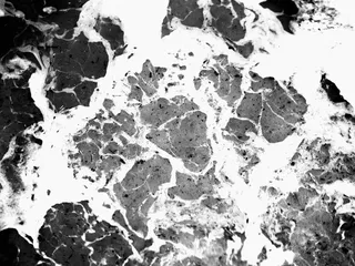 岩石、植物、鸟类、动物、ct扫描、医学成像x射线胶片、x射线、脚印