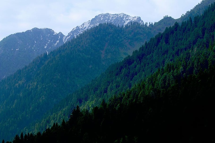 绿色的山，自然，山，树，雪，阿尔卑斯山，山，森林