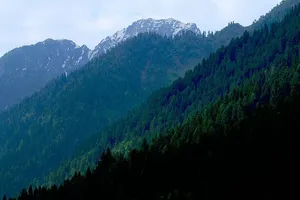 绿色的山，自然，山，树，雪，阿尔卑斯山，山，森林