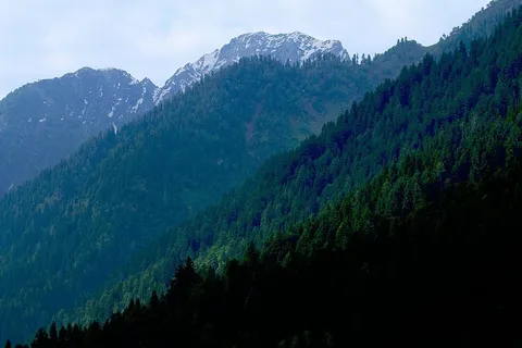 绿色的山,自然,山,树,雪,阿尔卑斯山,山,森林 绿色的山,自然,山,树,雪,阿尔卑斯山,山,森林