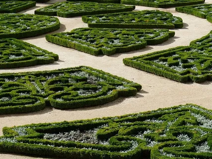 树篱，黄杨木，花园，装饰，公园，书籍，图案，植物