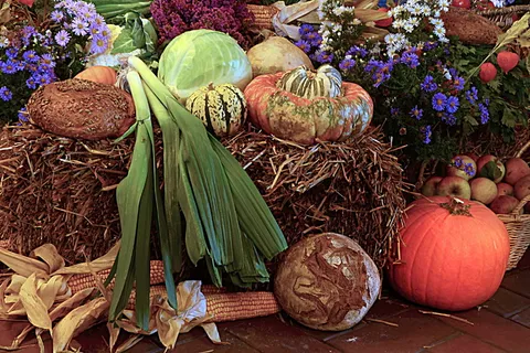 感恩节，水果，谷物，蔬菜，面包，秋天，食物，蔬菜