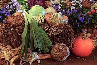 感恩节，水果，谷物，蔬菜，面包，秋天，食物，蔬菜