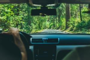 人，人，人，司机，开车，旅行，道路，旅行