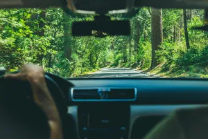 人，人，人，司机，开车，旅行，道路，旅行