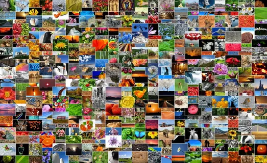 图像、照片、照片集、相册、马赛克、拼贴、录音、多样性 图像、照片、照片集、相册、马赛克、拼贴、录音、多样性