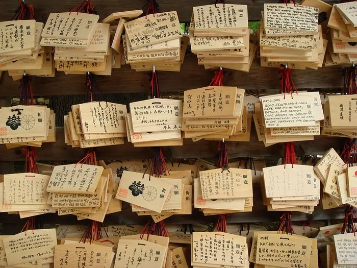 各种白色和棕色硬纸盒